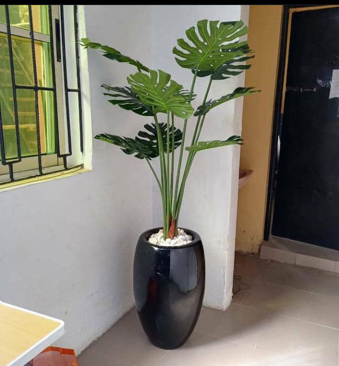 Buy artificial plants and flowers online in lagos Best Home decor Eunicon interior