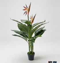 Load image into Gallery viewer, Artificial Paradise potted Plant
