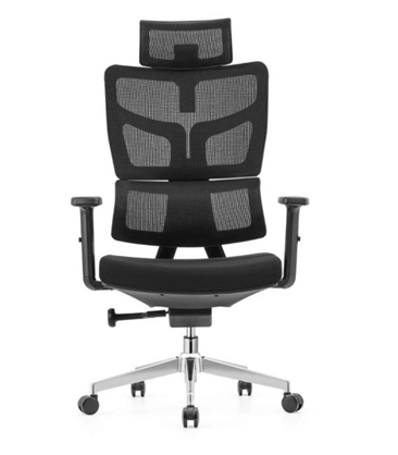 Executive Ergonomic office Chair