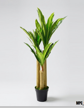 Load image into Gallery viewer, Draceana Artificial Plant
