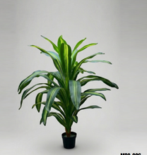 Load image into Gallery viewer, Draceana Artificial Plant
