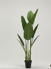Load image into Gallery viewer, Artificial Banana plant
