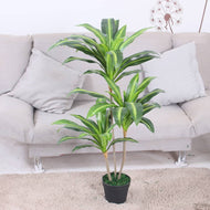 Draceana Artificial Plant 100CM