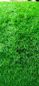 Artificial Faux Synthetic Carpet Grass 1sqm