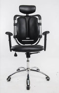 araam orthopedic chair