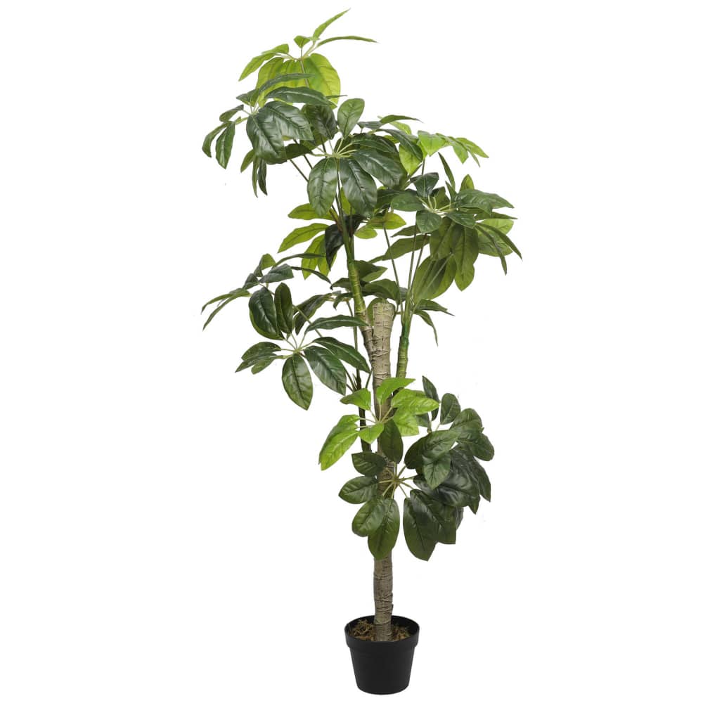 Artificial Duck foot Plant 150cm – Eunicon interior