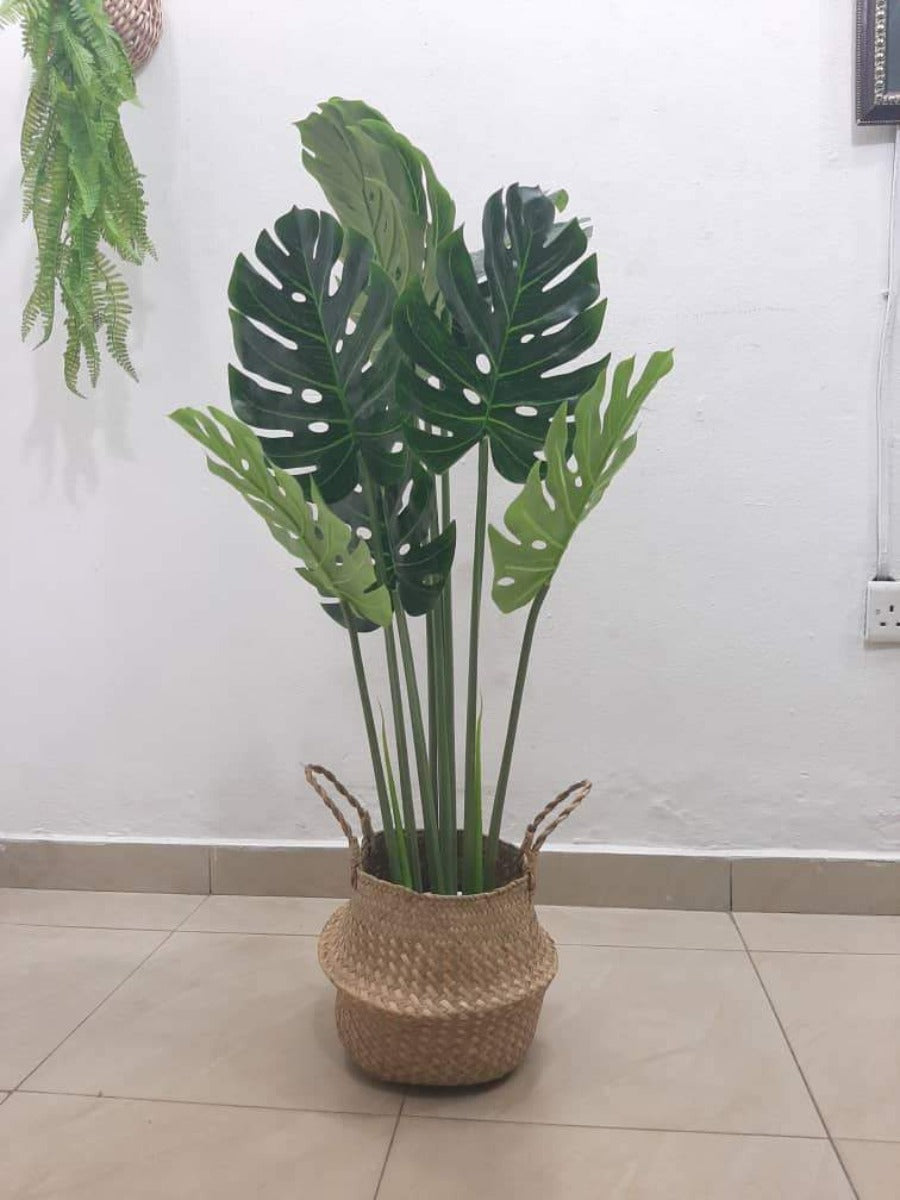 artificial indoor sea basket plant