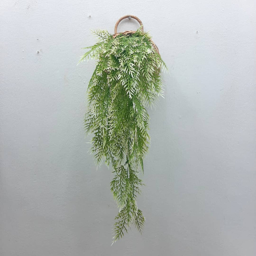 Basket Wall Hanging Decorative Plants