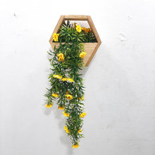 Load image into Gallery viewer, Wooden Box Wall Hanging Flower Plants
