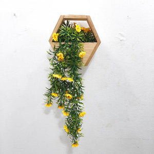 Wooden Box Wall Hanging Flower Plants