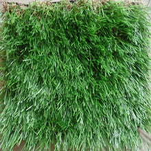 Load image into Gallery viewer, Artificial Faux Synthetic Carpet Grass 1sqm
