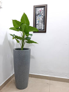 Decorative Synthetic Flower Plant pot