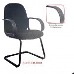 Guest conference chair