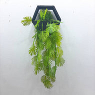 Wooden Box Wall Hanging Decorative Plants