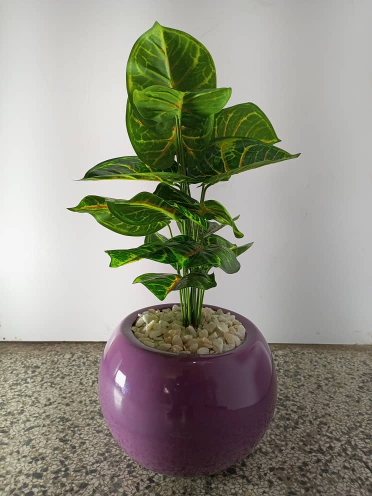 mini plant combo artificial plant
