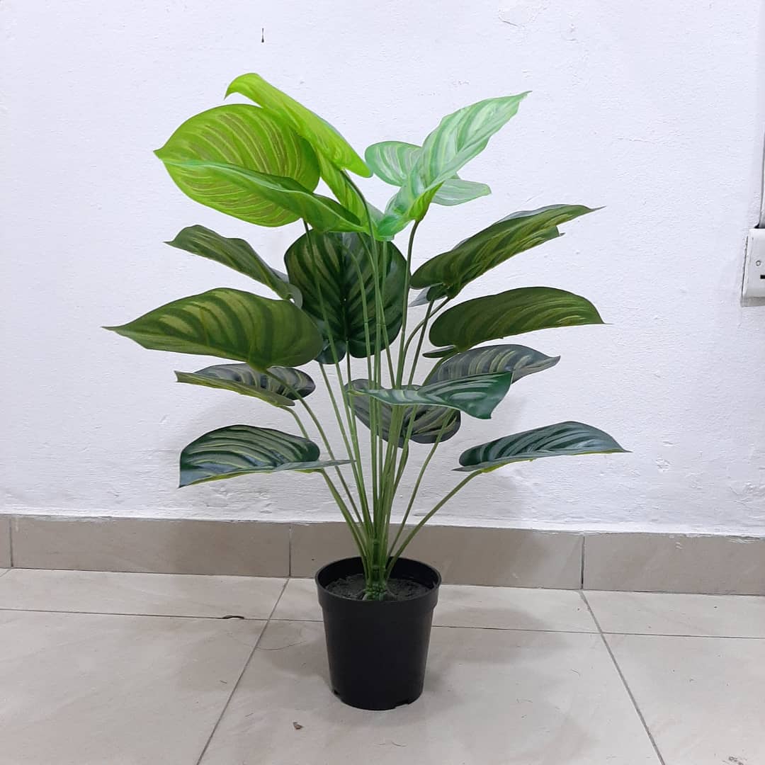 where to buy indoor plants in nigeria shop online for Mini potted artificial Plant -Eunicon Interior Lagos –  Eunicon interior