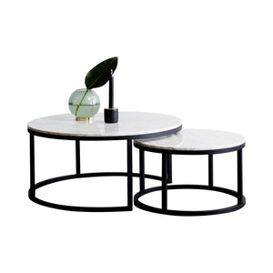 Modern Nest Marble coffee Center Table