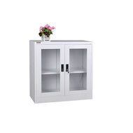 Small Steel Glass Shelf Cabinet