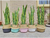 sea grass basket