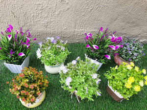 table top pots and flower plants