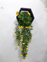 Load image into Gallery viewer, Wooden Box Wall Hanging Flower Plants
